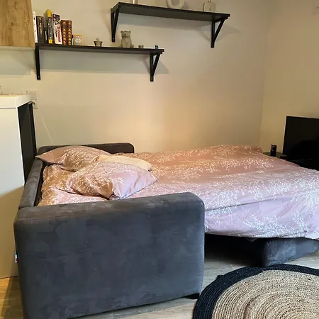 Cocon Avec Petit Jardin Centre Apartment *